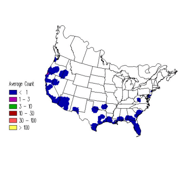 Yellow Warbler winter distribution map