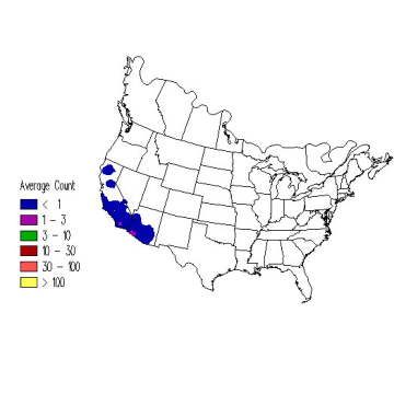 Costa's Hummingbird winter distribution map