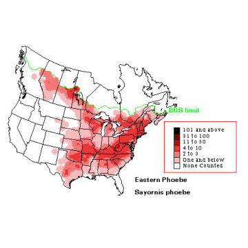 Eastern Phoebe distribution map