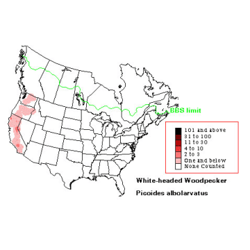 White-headed Woodpecker distribution map