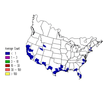 Western Tanager winter distribution map