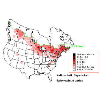 Yellow-bellied Sapsucker distribution map