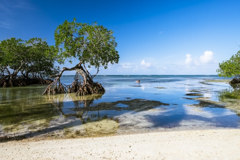 Dominican Republic