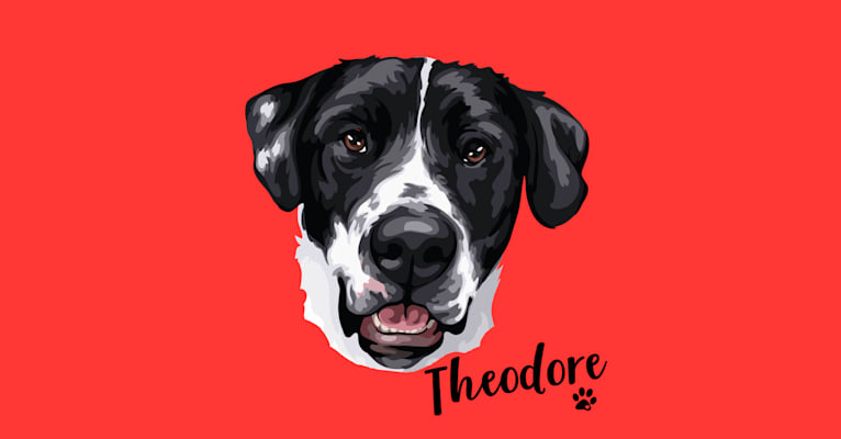 Photo of Theodore Ellington, an American Pit Bull Terrier, Siberian Husky, and Mixed mix in Highlands Ranch, Colorado, USA