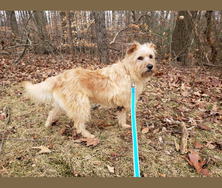 Chewy dna test store