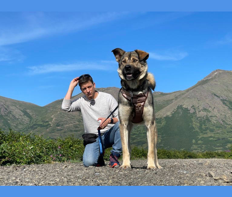 Photo of McFly, a Labrador Retriever, German Shepherd Dog, Siberian Husky, Alaskan-type Husky, and Mixed mix in Brevig Mission, Alaska, USA