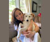 Hannah, a Beagle and Australian Cattle Dog mix tested with EmbarkVet.com