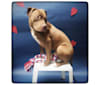 Beaker Bunny, an American Staffordshire Terrier and American Bulldog mix tested with EmbarkVet.com