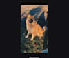 Photo of Kona, a Great Pyrenees, American Pit Bull Terrier, Labrador Retriever, and Siberian Husky mix in Yakima, Washington, USA