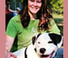 Photo of Dakota, a Labrador Retriever, Dalmatian, and American Pit Bull Terrier mix in Odd, West Virginia, USA