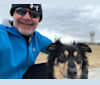 Eli, a Labrador Retriever and Great Pyrenees mix tested with EmbarkVet.com