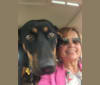 Maya, a German Shepherd Dog and Bluetick Coonhound mix tested with EmbarkVet.com
