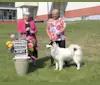Aleu, a Canadian Eskimo Dog tested with EmbarkVet.com