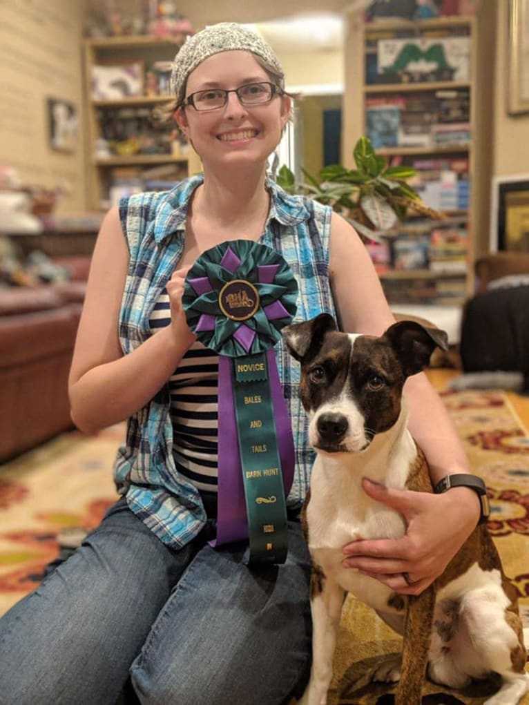 Pan, a Russell-type Terrier and Border Collie mix tested with EmbarkVet.com