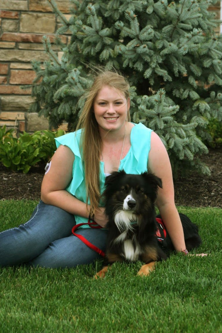 Jeter Brolinn, an Australian Shepherd tested with EmbarkVet.com