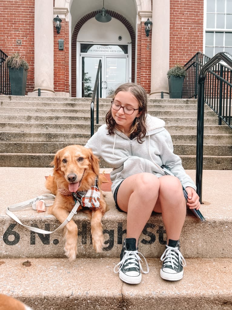 Marley, a Golden Retriever tested with EmbarkVet.com