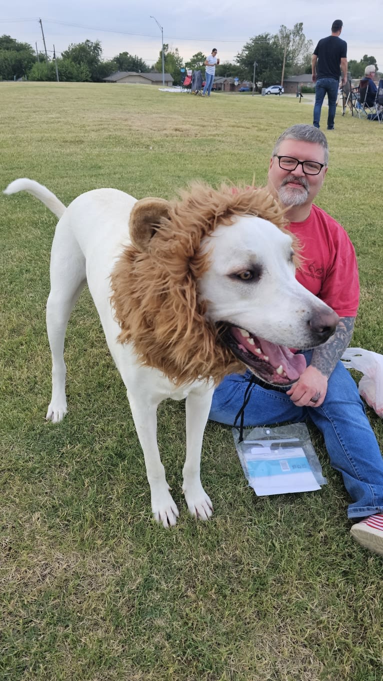 Riggs, a Great Pyrenees and Great Dane mix tested with EmbarkVet.com