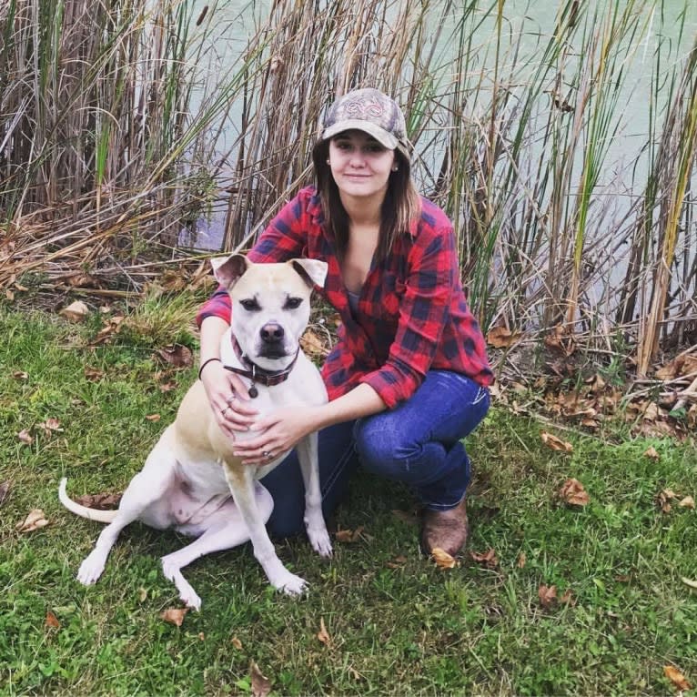 Kita Bonita, an American Bulldog and Chow Chow mix tested with EmbarkVet.com