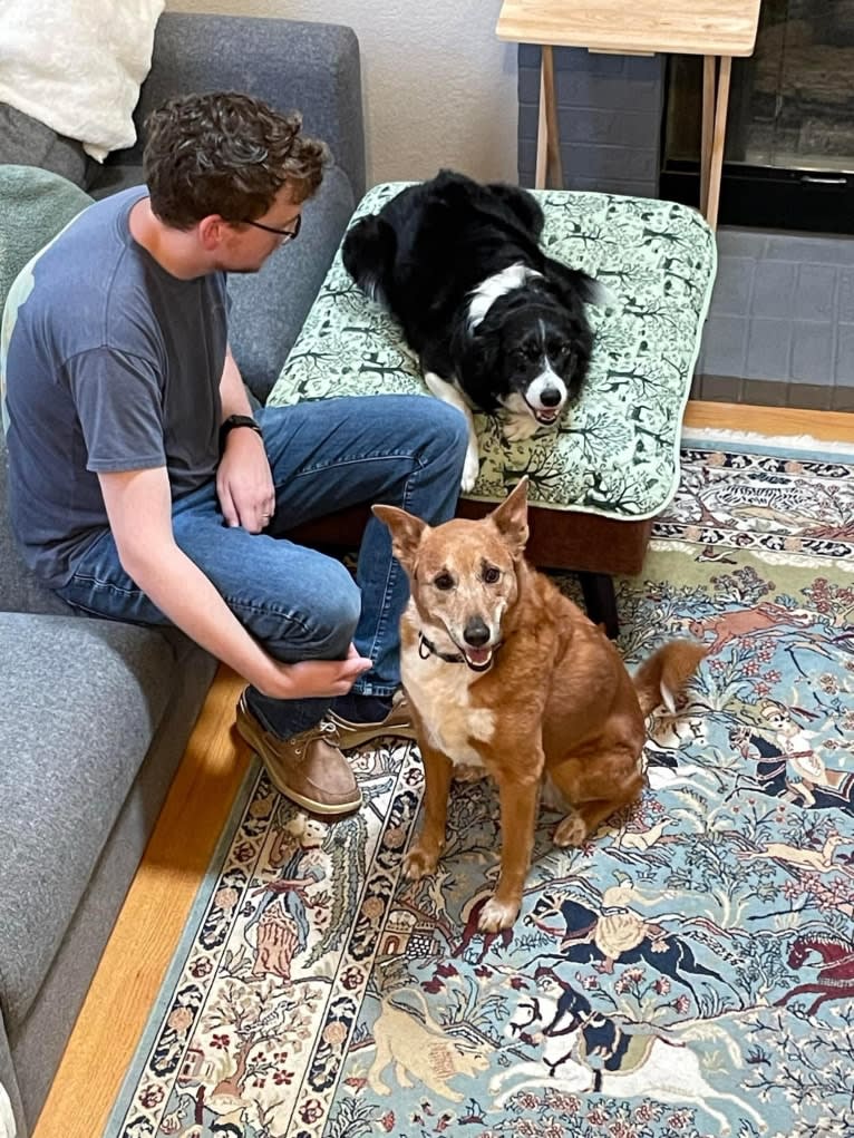 Charlie, an Australian Cattle Dog and Australian Shepherd mix tested with EmbarkVet.com
