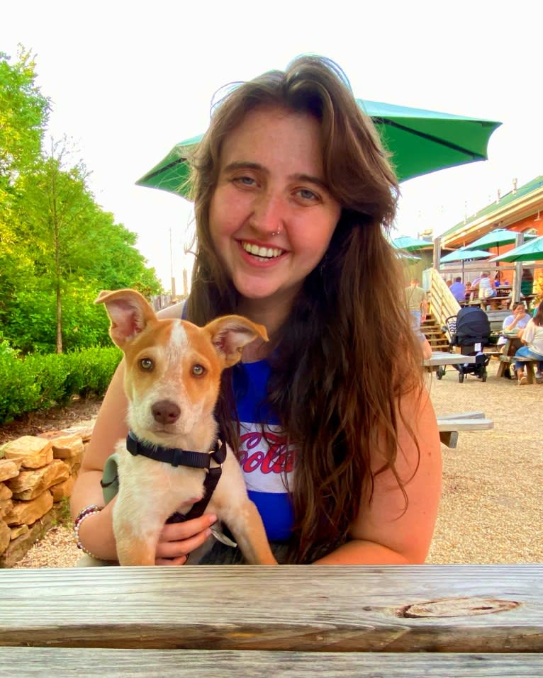 Lou, an Australian Cattle Dog and Australian Shepherd mix tested with EmbarkVet.com