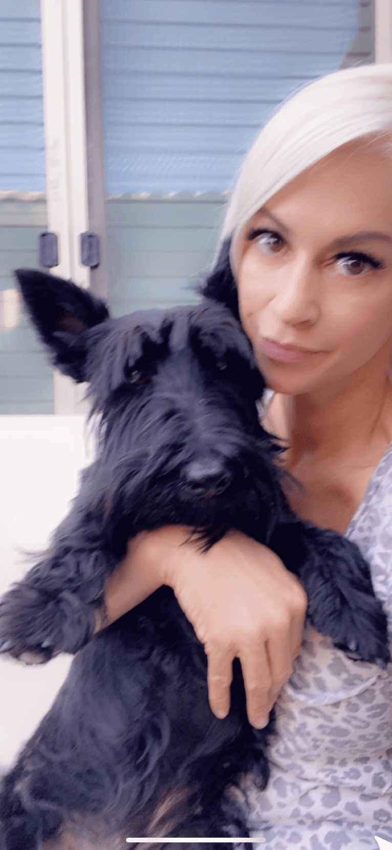 Zena, a Scottish Terrier tested with EmbarkVet.com