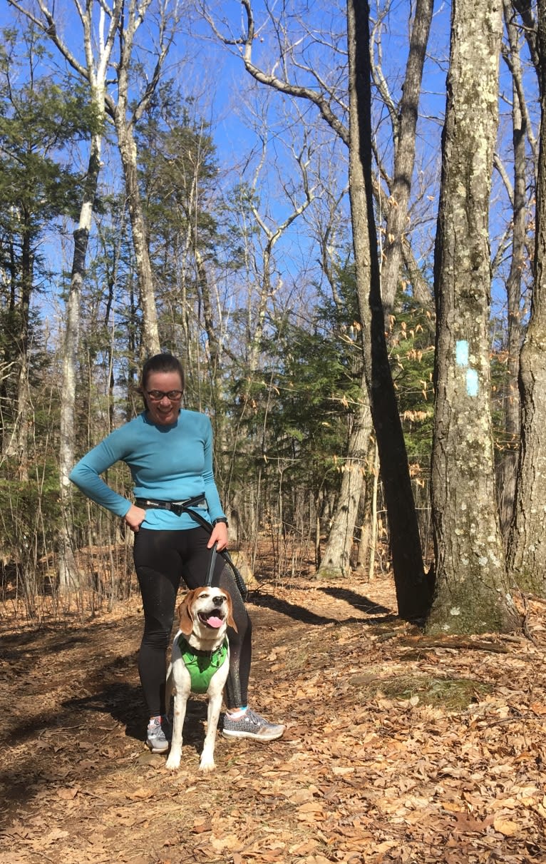 Wheeler, a Treeing Walker Coonhound and American English Coonhound mix tested with EmbarkVet.com