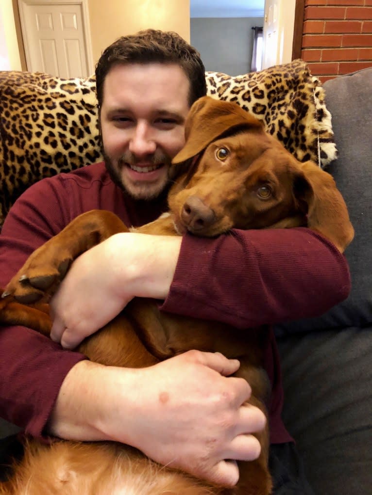 Scarlett, a Redbone Coonhound and Labrador Retriever mix tested with EmbarkVet.com