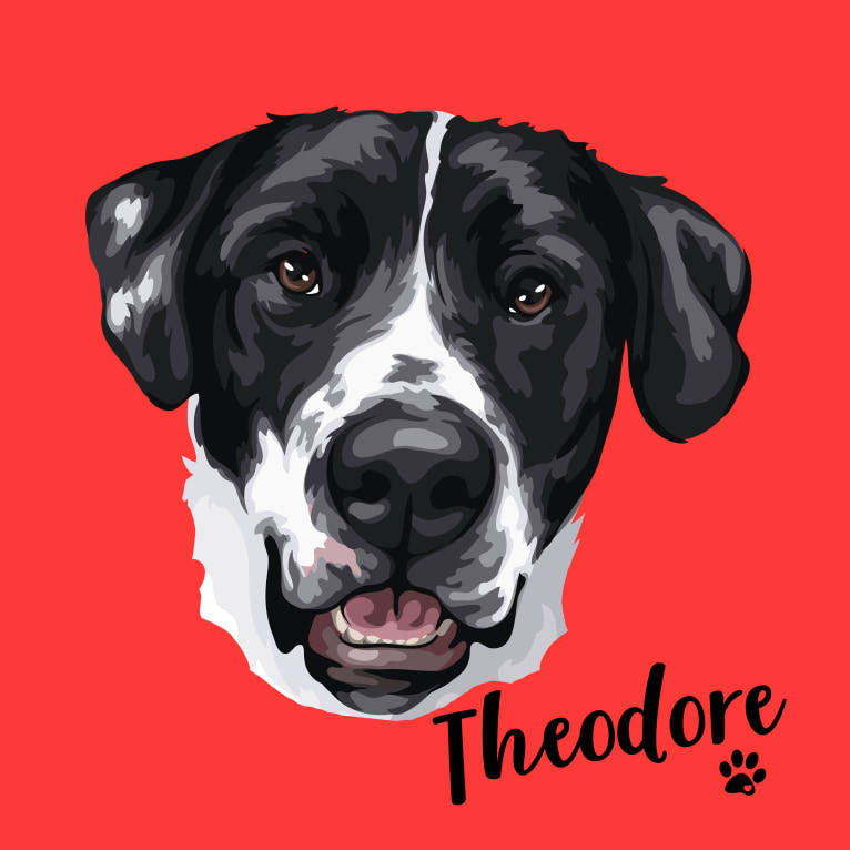 Theodore Ellington, an American Pit Bull Terrier and Siberian Husky mix tested with EmbarkVet.com