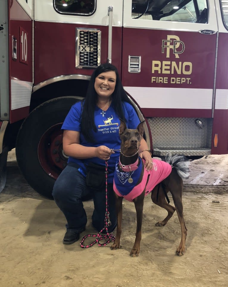 Luna, a Doberman Pinscher tested with EmbarkVet.com