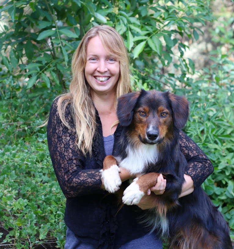 Burley, an English Shepherd tested with EmbarkVet.com