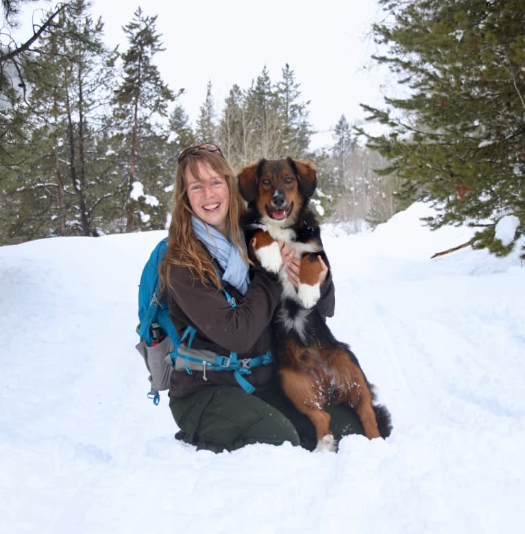 Burley, an English Shepherd tested with EmbarkVet.com