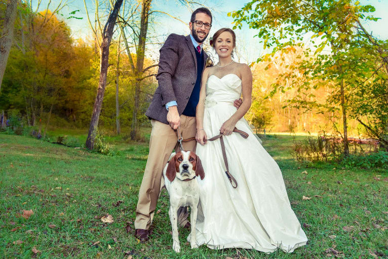 Wheeler, a Treeing Walker Coonhound and American English Coonhound mix tested with EmbarkVet.com