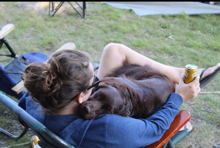 Luna, a Boykin Spaniel and Golden Retriever mix tested with EmbarkVet.com