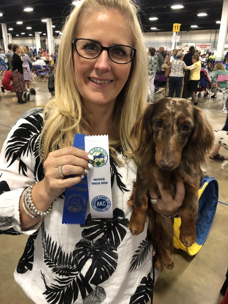 Sophie ROM, a Dachshund tested with EmbarkVet.com