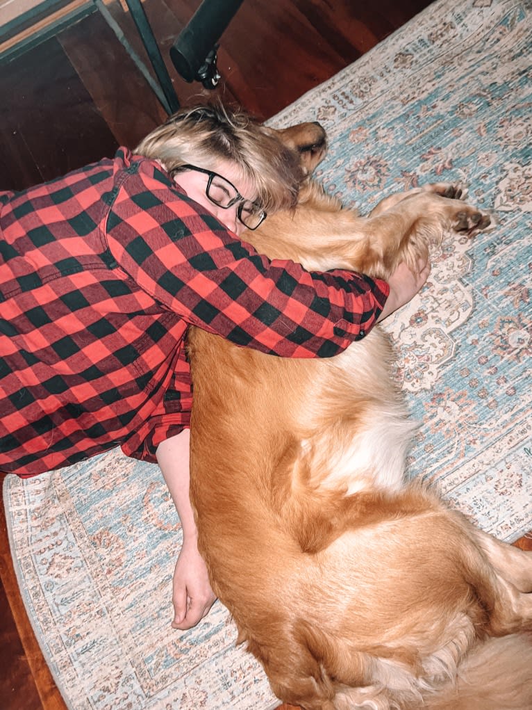 Marley, a Golden Retriever tested with EmbarkVet.com