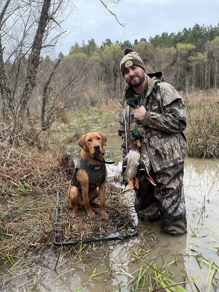 Rip, a Labrador Retriever tested with EmbarkVet.com