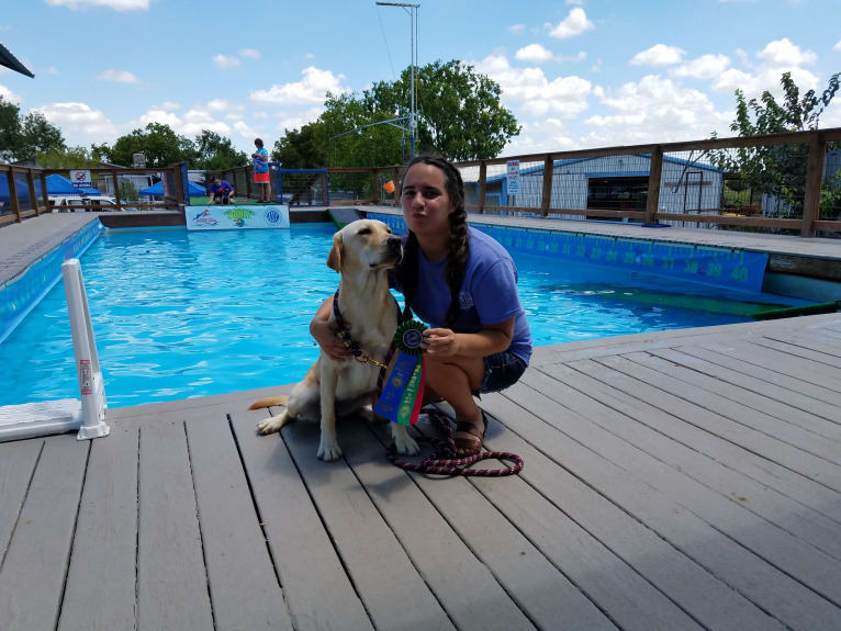 Nina, a Labrador Retriever tested with EmbarkVet.com