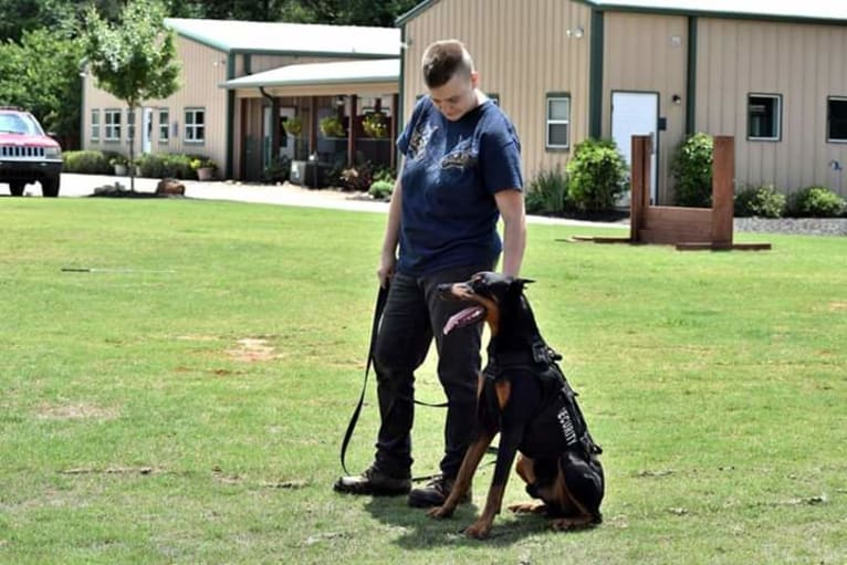 Riku, a Doberman Pinscher tested with EmbarkVet.com