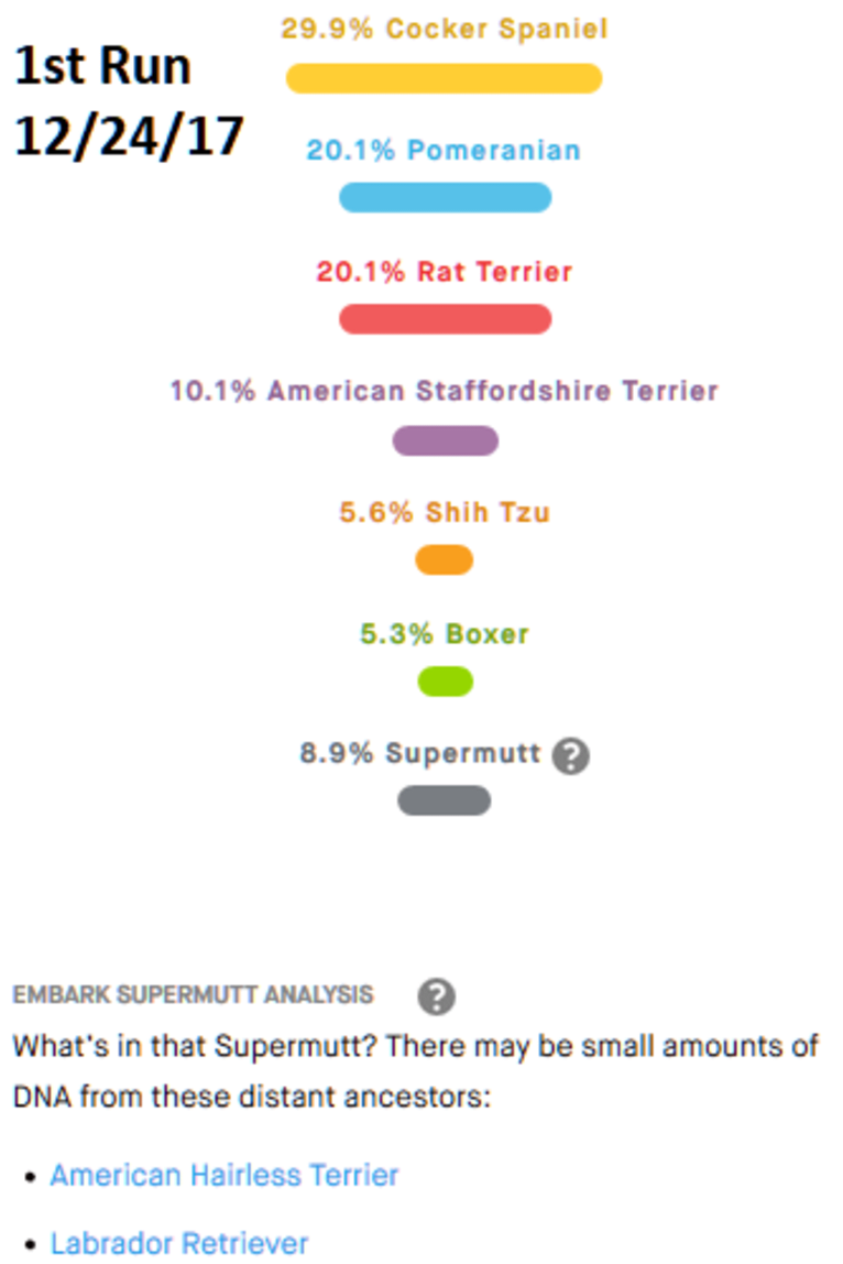 Autumn, a Cocker Spaniel and Rat Terrier mix tested with EmbarkVet.com