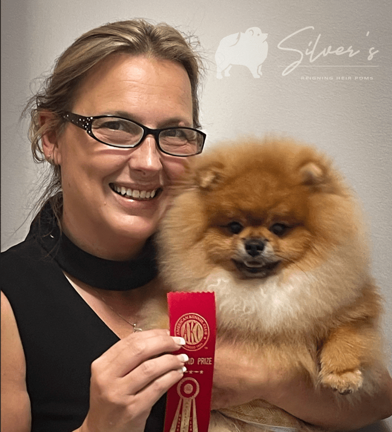 Tank, a Pomeranian tested with EmbarkVet.com