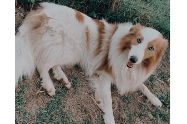 Esta imagem possuí um atributo alt vazio; O nome do arquivo é nqlqagvqbcphb0pambhs