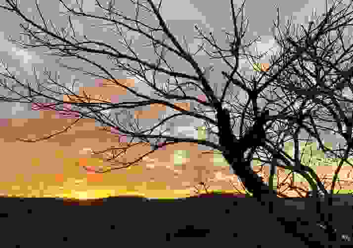 2020 Sunsets -November - “Changing Seasons and Life Goes On”