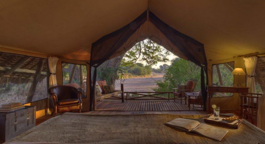Jongomero in Ruaha, Tanzania
