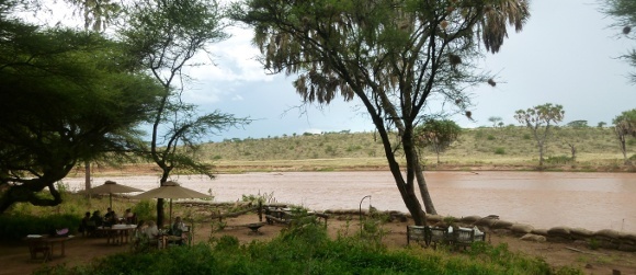 Wild & Tranquil Africa: Game Safaris in Kenya Uncovered