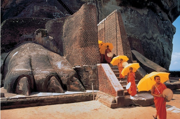 Young Buddhist monks in training