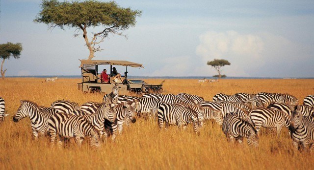 safari kenia2