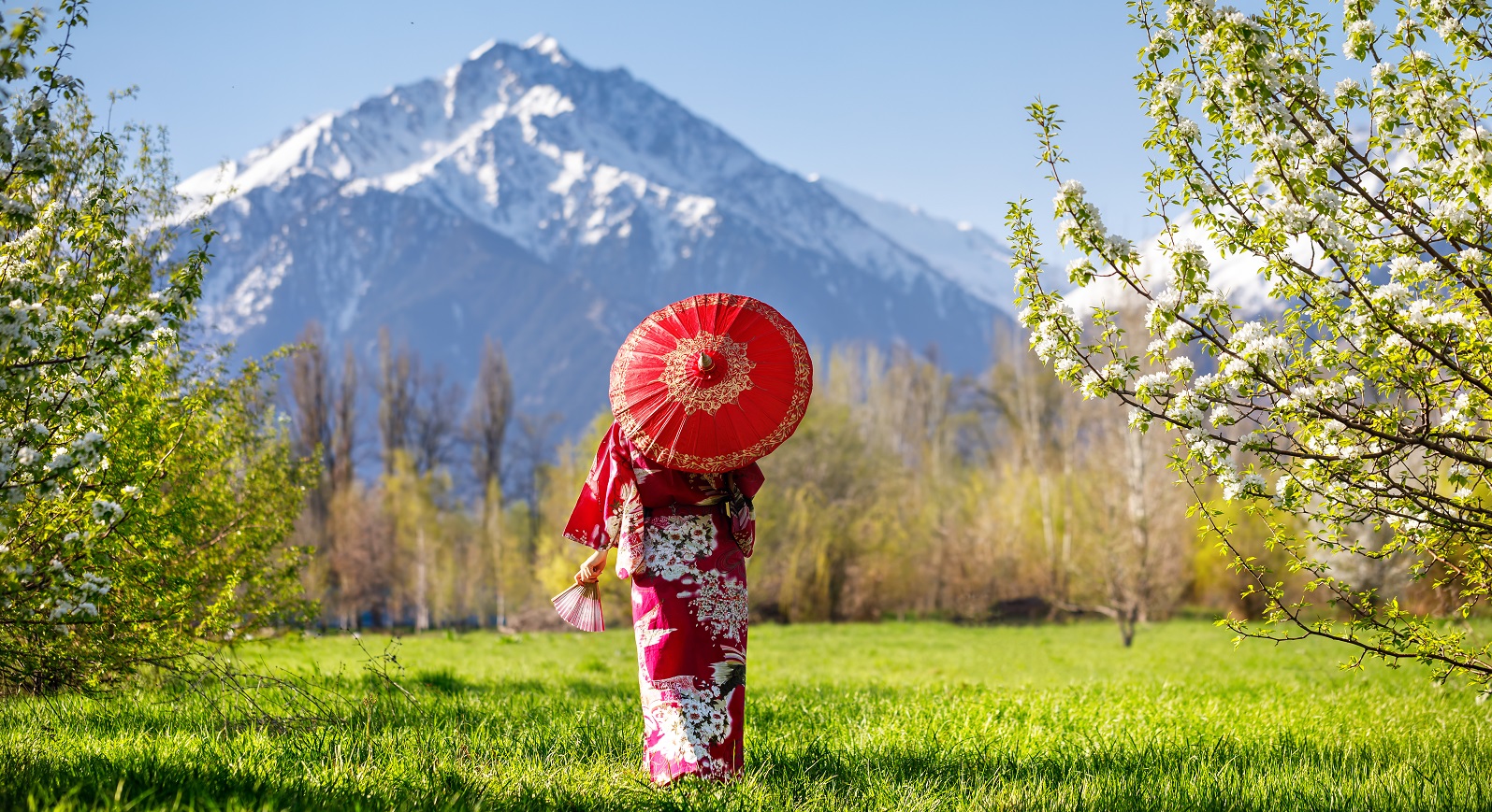 Japan Northern Gems, Nature and Wildlife Tours & Trips with