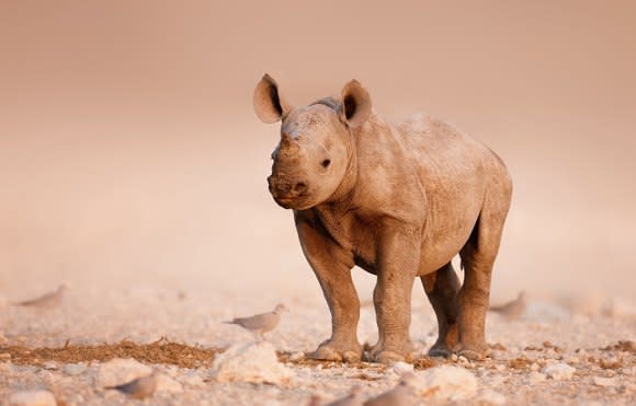 10 Exciting Reasons Why You Should Visit Namibia Now