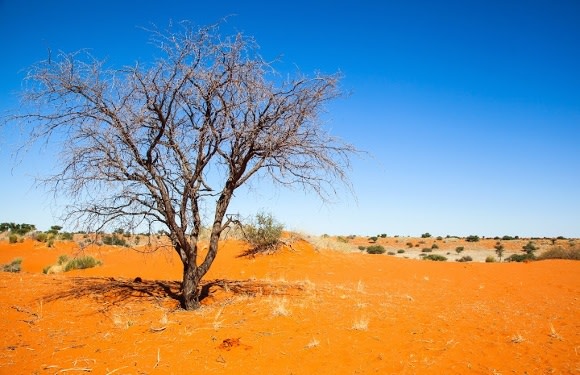 10 Exciting Reasons Why You Should Visit Namibia Now