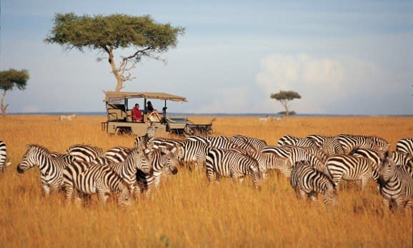 Touristen auf Safari beobachten die Tierwanderung der Zebras